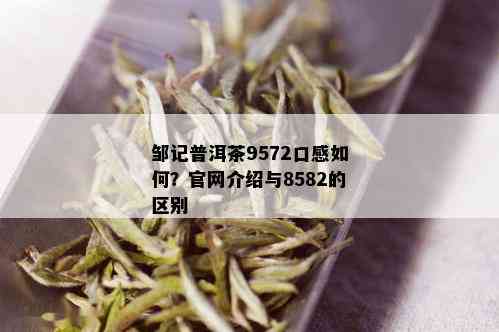 邹记普洱茶9572口感如何？官网介绍与8582的区别