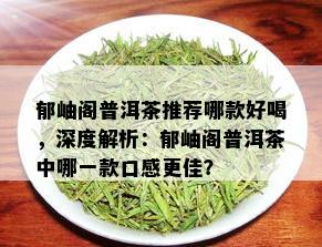 郁岫阁普洱茶推荐哪款好喝，深度解析：郁岫阁普洱茶中哪一款口感更佳？