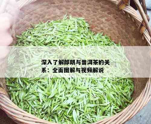 深入了解郎朗与普洱茶的关系：全面图解与视频解说