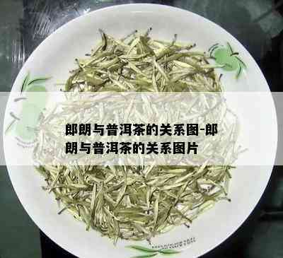 郎朗与普洱茶的关系图-郎朗与普洱茶的关系图片