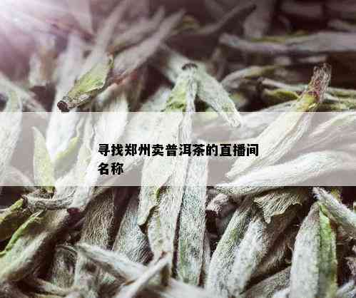 寻找郑州卖普洱茶的直播间名称