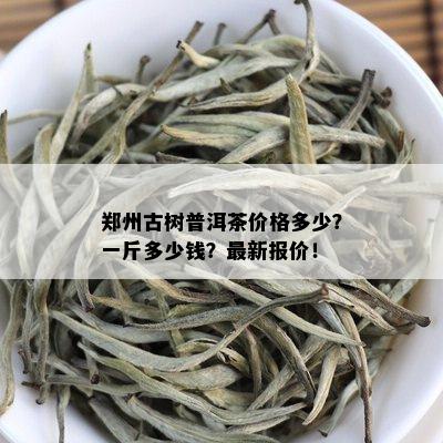 郑州古树普洱茶价格多少？一斤多少钱？最新报价！