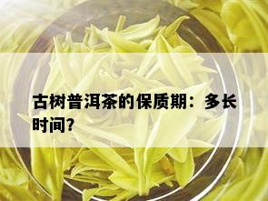 古树普洱茶的保质期：多长时间？