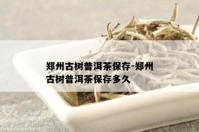 郑州古树普洱茶保存-郑州古树普洱茶保存多久