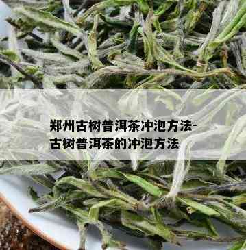 郑州古树普洱茶冲泡方法-古树普洱茶的冲泡方法