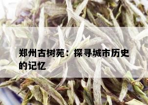 郑州古树苑：探寻城市历史的记忆