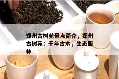 郑州古树苑景点简介，郑州古树苑：千年古木，生态园林