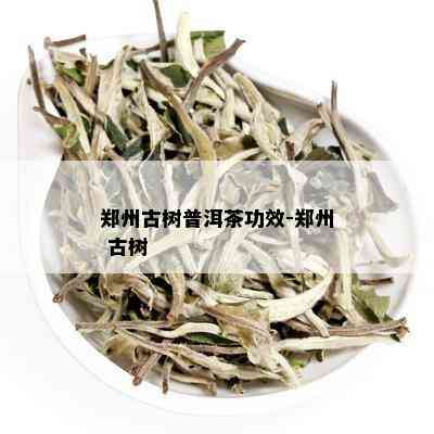 郑州古树普洱茶功效-郑州 古树