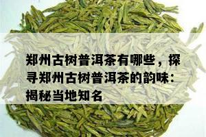 郑州古树普洱茶有哪些，探寻郑州古树普洱茶的韵味：揭秘当地知名