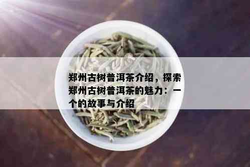 郑州古树普洱茶介绍，探索郑州古树普洱茶的魅力：一个的故事与介绍