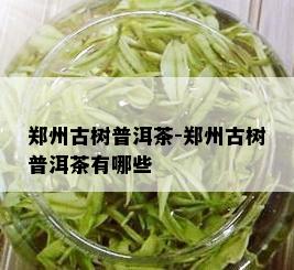 郑州古树普洱茶-郑州古树普洱茶有哪些