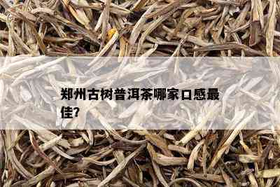 郑州古树普洱茶哪家口感更佳？