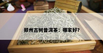 郑州古树普洱茶：哪家好？