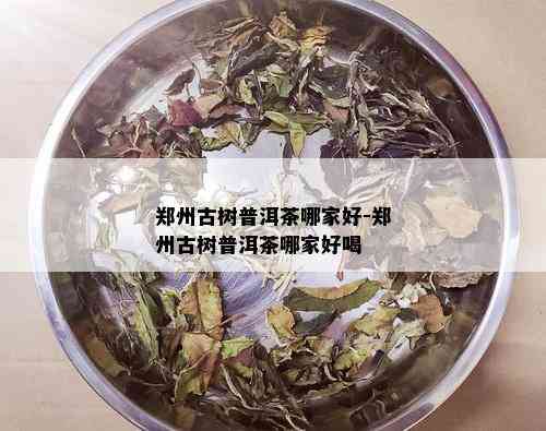 郑州古树普洱茶哪家好-郑州古树普洱茶哪家好喝