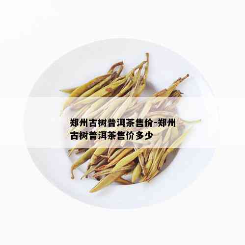 郑州古树普洱茶售价-郑州古树普洱茶售价多少