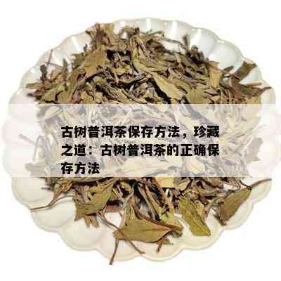 古树普洱茶保存方法，珍藏之道：古树普洱茶的正确保存方法