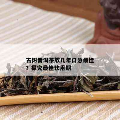 古树普洱茶放几年口感更佳？探究更佳饮用期