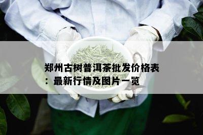 郑州古树普洱茶批发价格表：最新行情及图片一览