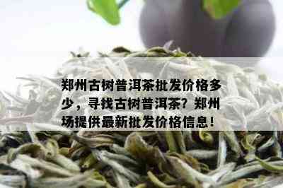 郑州古树普洱茶批发价格多少，寻找古树普洱茶？郑州场提供最新批发价格信息！