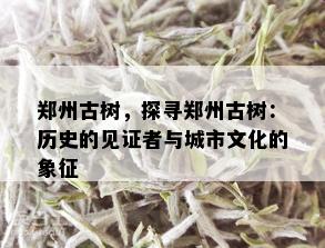 郑州古树，探寻郑州古树：历史的见证者与城市文化的象征