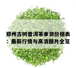 郑州古树普洱茶拿货价格表：最新行情与高清图片全览