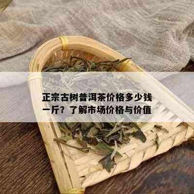 正宗古树普洱茶价格多少钱一斤？了解市场价格与价值