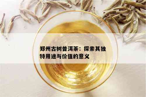 郑州古树普洱茶：探索其独特用途与价值的意义