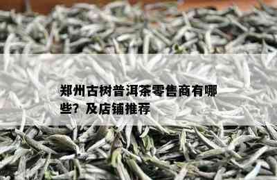 郑州古树普洱茶零售商有哪些？及店铺推荐