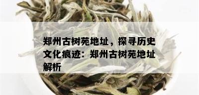 郑州古树苑地址，探寻历史文化痕迹：郑州古树苑地址解析