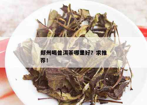 郑州喝普洱茶哪里好？求推荐！