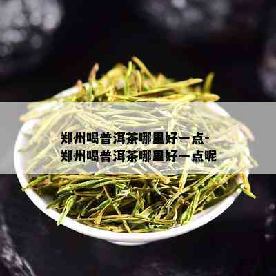 郑州喝普洱茶哪里好一点-郑州喝普洱茶哪里好一点呢