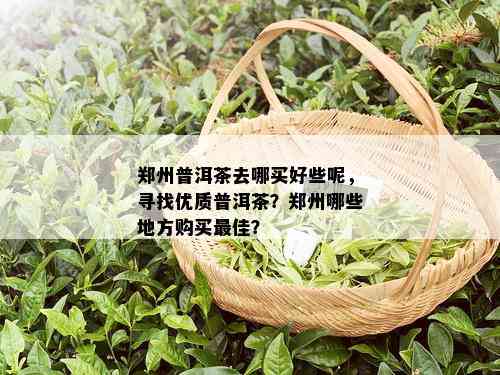 郑州普洱茶去哪买好些呢，寻找优质普洱茶？郑州哪些地方购买更佳？