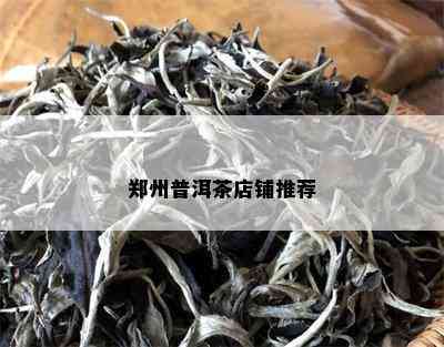 郑州普洱茶店铺推荐