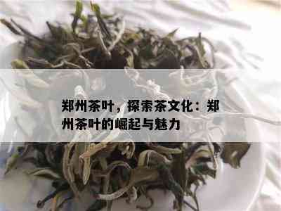 郑州茶叶，探索茶文化：郑州茶叶的崛起与魅力