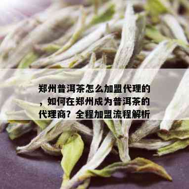 郑州普洱茶怎么加盟代理的，如何在郑州成为普洱茶的代理商？全程加盟流程解析