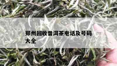 郑州回收普洱茶电话及号码大全