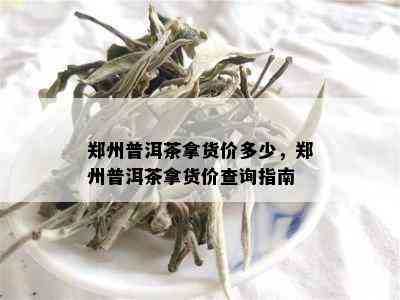 郑州普洱茶拿货价多少，郑州普洱茶拿货价查询指南