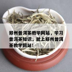 郑州普洱茶教学网站，学习普洱茶知识，就上郑州普洱茶教学网站！