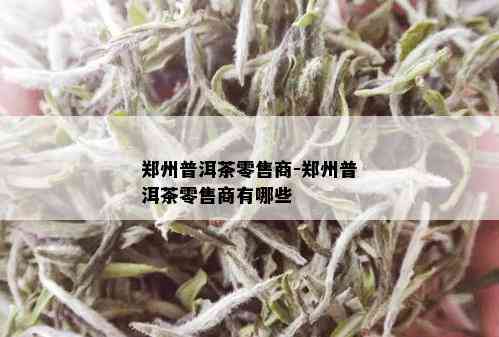 郑州普洱茶零售商-郑州普洱茶零售商有哪些