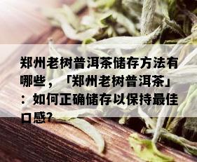 郑州老树普洱茶储存方法有哪些，「郑州老树普洱茶」：如何正确储存以保持更佳口感？