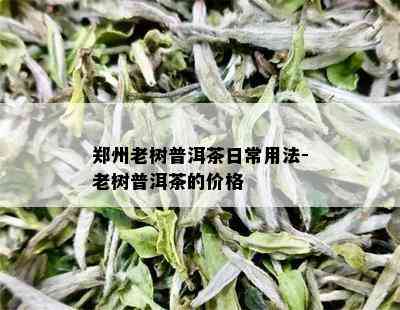 郑州老树普洱茶日常用法-老树普洱茶的价格