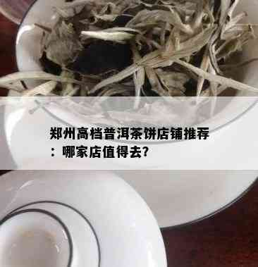 郑州高档普洱茶饼店铺推荐：哪家店值得去？