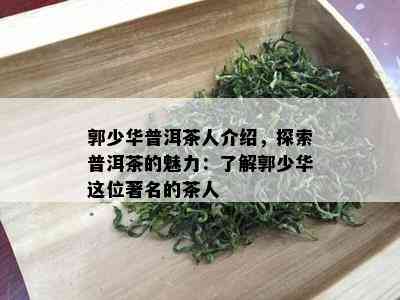 郭少华普洱茶人介绍，探索普洱茶的魅力：了解郭少华这位著名的茶人