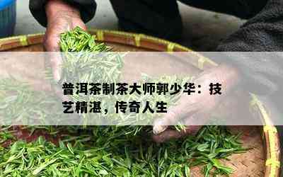 普洱茶制茶大师郭少华：技艺精湛，传奇人生