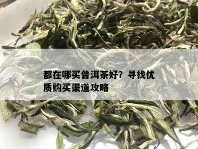 都在哪买普洱茶好？寻找优质购买渠道攻略