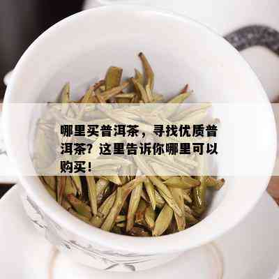 哪里买普洱茶，寻找优质普洱茶？这里告诉你哪里可以购买！