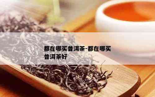 都在哪买普洱茶-都在哪买普洱茶好