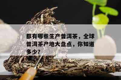 都有哪些生产普洱茶，全球普洱茶产地大盘点，你知道多少？