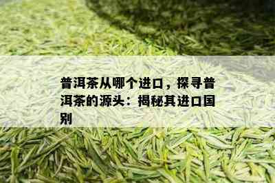 普洱茶从哪个进口，探寻普洱茶的源头：揭秘其进口国别