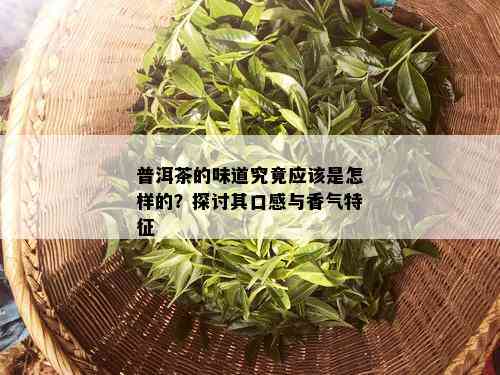 普洱茶的味道究竟应该是怎样的？探讨其口感与香气特征